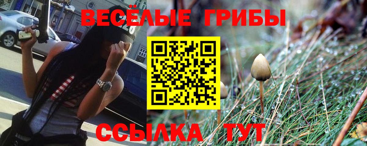 Псилоцибиновые грибы прущие грибы Дюртюли